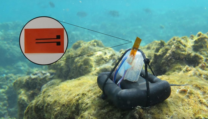 The salinity sensor was tested at the Al Fahal Reef in the Red Sea.