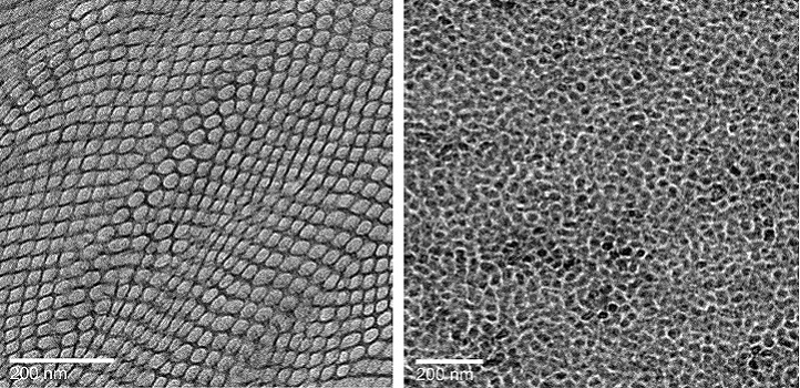 Electron micrograph images of membranes with ordered (left) and disordered (right) channel structures.