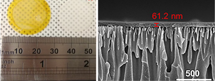 The researchers synthesized high-flux, high-selectivity solvent nanofiltration membranes (yellow, left) from a covalent, organic, porous material (right).