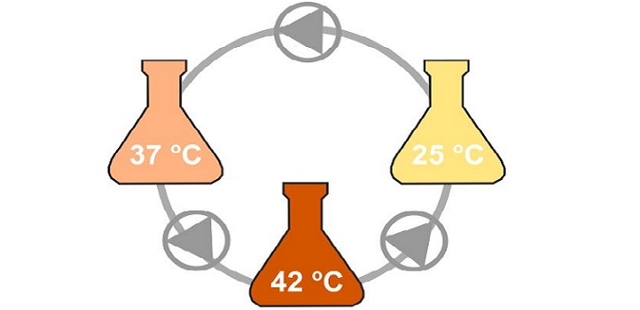 The experimental setup is depicted as three flasks to show the incubation vessels at different temperatures: the gray lines represent tubing, and the triangles within circles represent peristaltic pumps and the direction of the flow. All three bacterial strains were present within each incubation vessel at a 1:1:1 initial ratio and all pumps had the same flow.