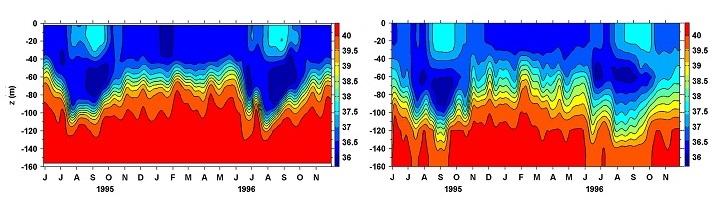 Diagrams showing the time versus water depth of changes in salinity (measured in practical salinity units or psu) over time versus water depth from June 1995 to November 1996. The diagram on the left is the model simulation: the diagram on the right is the in situ observation.