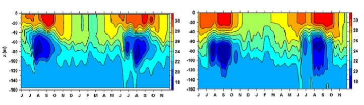Diagrams showing the time versus water depth of changes in temperature (measured in degrees Celsius) from June 1995 to November 1996. The diagram on the left is the model simulation: the diagram on the right is the in situ observation.