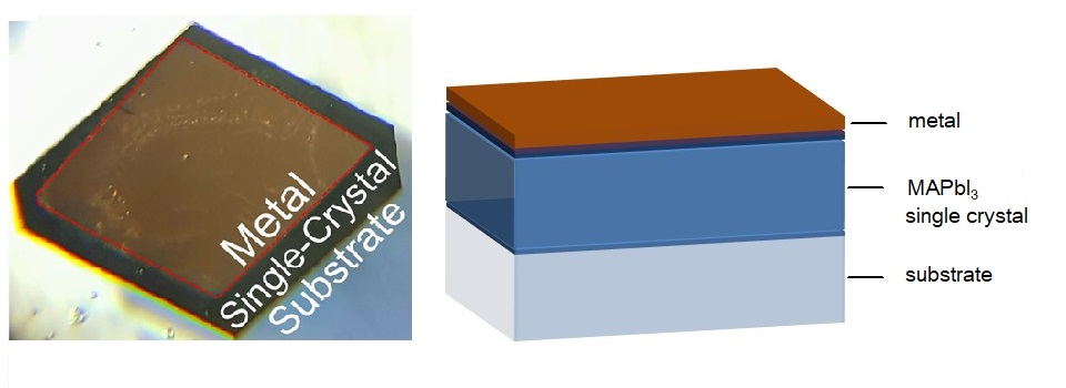 A photo and schematic of the single-crystal perovskite solar cell developed by KAUST.