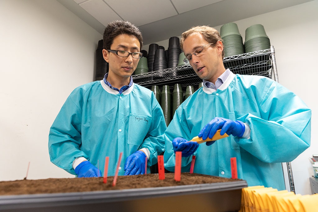 Yajun Wang and Simon Krattinger plant seeds for their trials in the Plant Growth Facility.