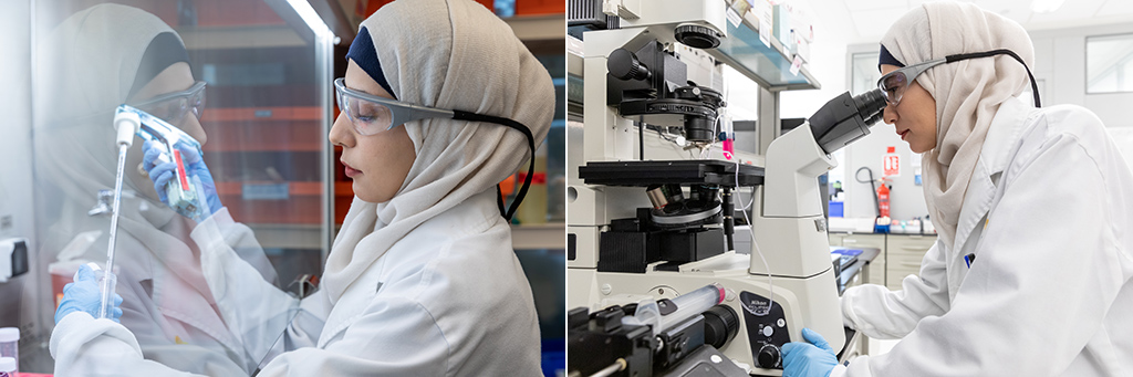 First author of the study, Fajr Aleisa, prepares a sample of cells (left) and observes the ability of components of the E-selectin molecule to block adhesion interactions .