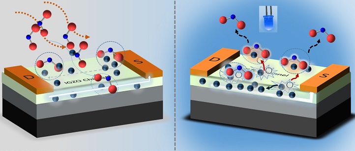 NO2 molecules (red and blue spheres) in the air are drawn to the electrons (black spheres) on the sensor’s surface, triggering a detection event (left). The sensor is revived with light (right), which generates charged particles that neutralize and release the adsorbed NO2.