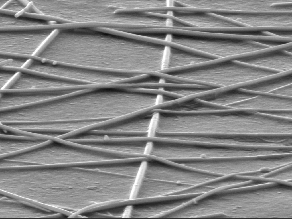 A scanning electron microscope image of the tiny silver nanowires.