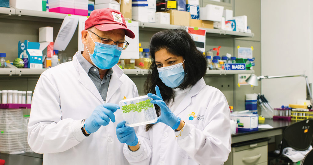 Heribert Hirt (left) and Kirti Shekhawat (right) are exploring ways to help achieve sustainable agriculture by harnessing microbes to protect plants.