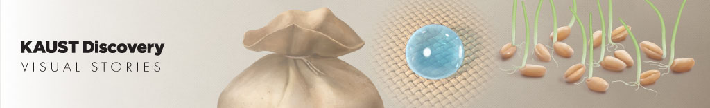 Follow this link to see a visual explainer describing the treated jute bags.