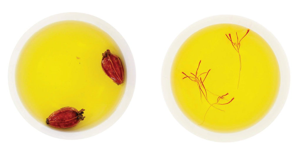 The team has devised a method to produce saffron's active ingredient from the fruit of an ornamental plant popular in China, Gardenia jasminoides, shown here on the left. On the right is saffron, the world's most expensive spice.